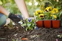 Clean Up Flowers